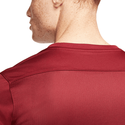 JERSEY NIKE DF PARK VII CORINTO - BV6708677